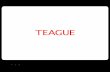 Terabeam Gecko presentation by Teague 1-2002