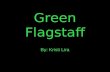 Green flagstaff campaign