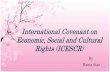 International covenant on economic, social and cultural
