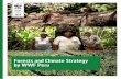 Forests and Climate Strategy by WWF Peru