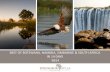 BB14 Best of Botswana, Namibia, Zimbabwe & South Africa in 14 Days