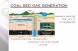 COAL BED GAS GENERATION