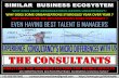 THE CONSULTANTS - BUSINESS & MARKETING CONSULTANCY FOR  CONSUMER GOODS COMPANIES