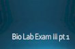 Bracey Bio Lab exam 3 Pt. 1