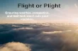 Flight or Plight