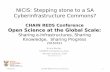 NICIS: Stepping Stones to a Cyberinfrastructure Commons