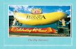 Ethan's Big Banana Project