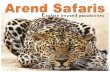 Arend Safari company