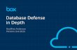 Database Defense In Depth