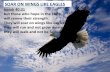Feb 15. 2015- Soar on wings like eagles - (#1- point b and c)