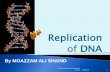 DNA replication by moazzam