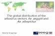 Global distribution maps of the arbovirus vectors Ae. aegypti and Ae. Albopictus