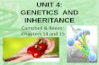 Unit 4 genetics and inheritance