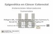 Epigenética en cáncer colorectal Pablo Argibay