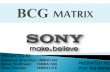 Sony BCG MATRIX
