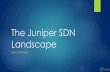 The Juniper SDN Landscape