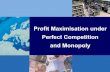 08. profit maximising under perfect competition and monopoly