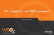 API, Integration, and SOA Convergence