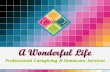 A Wonderful Life Company Information