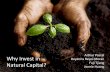 Investing in natural capital