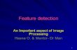 Feature detection
