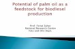 Potential of palm oil as a feedstock for biodiesel production