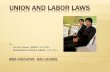 Union and labor laws Presentation