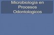 Microbiologia en procesos odontologicos