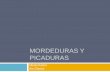 (2015-03-07) MORDEDURAS Y PICADURAS (PPT)