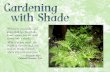 Gardening with Shade