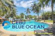 セブ留学リゾート校 Cebu Blue Ocean Academy。フィリピン留学 EGIビーチホテル滞在