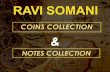 Ravi Somani, coins-collections, Notes Collection Ravi Somani Delhi