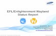 [E-Dev-Day 2014][12/16] EFL/Enlightenment Wayland Status Report & Demo