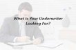 What is your Underwriter Looking For ?