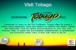 Visit tobago land   based activities