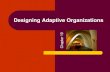 Chapter 10 Designing Adaptive Organizations