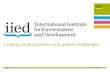 Who is IIED? The complete introduction