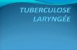 Tuberculose laryngée