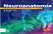 Neuroanatomia   texto y atlas crossman