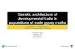 Genetic architecture of developmental traits in populations of male gypsy moths
