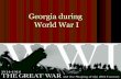 WWI (and Georgia's Contributions)
