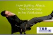 How lighting affects your productivity in the workplace