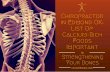 Chiropractor in Edmond OK: List Of Calcium-Rich Foods, Important in Strengthening Your Bones