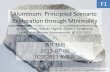 Aluminum: Principled Scenario Exploration through Minimality