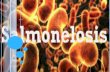 Salmonelosis, fiebre tifoidea y FNT