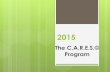 Shared Risk Programs Being Replaced By The C.A.R.E.S.© Program!