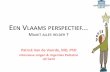 Vlaams perspectief