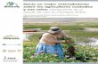 Hacia un mejor entendimiento sobre los agricultores custodios y sus roles percepciones de un estudio de caso en Cachilaya Bolivia