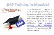 Best SAP ABAP Training Institute in Noida Delhi