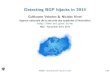 NSC #2 - D3 04 - Guillaume Valadon & Nicolas Vivet - Detecting BGP hijacks